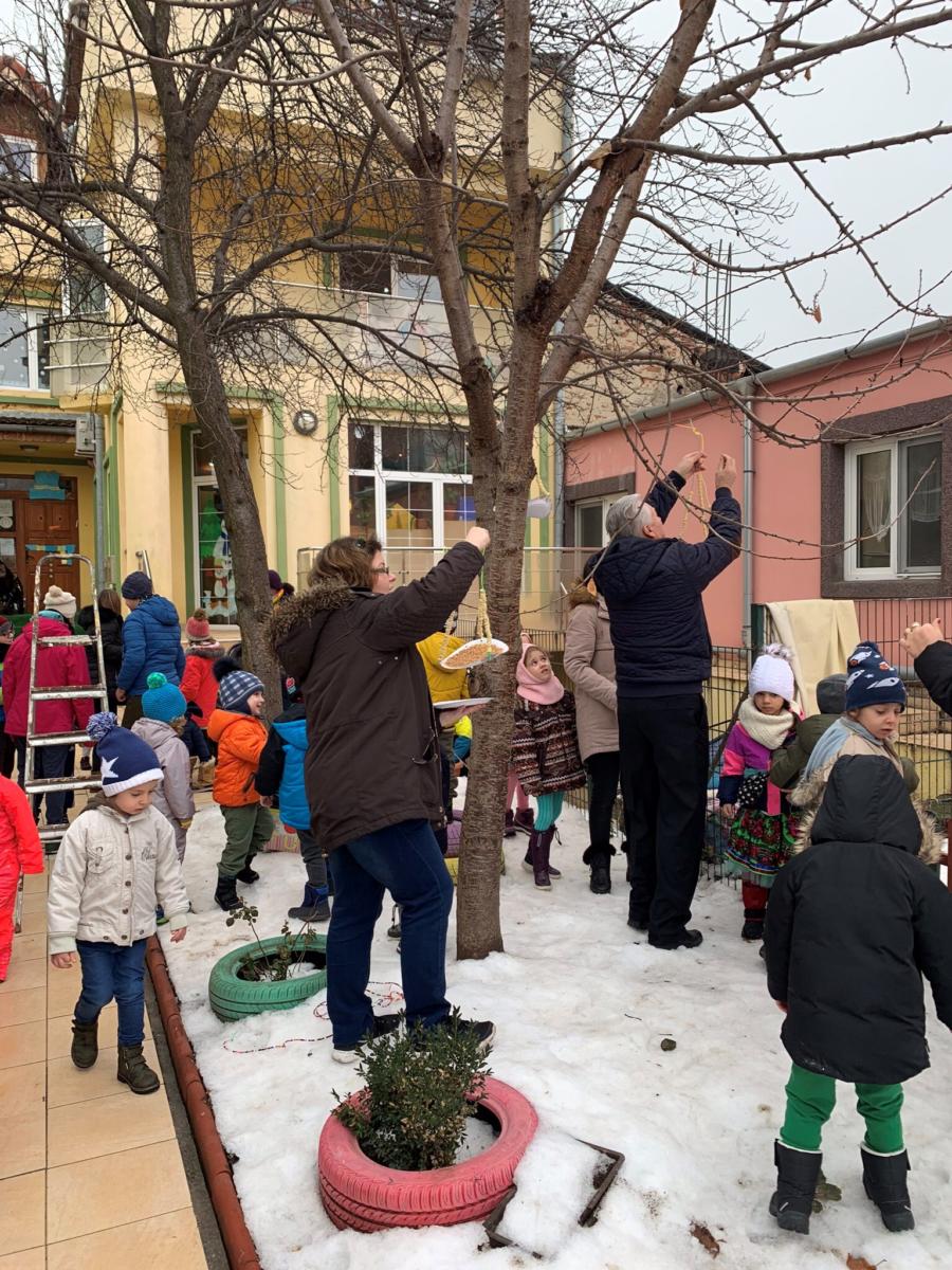 Outdoors celebrating Tu B'shevat